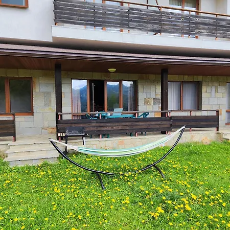 Panorama Orpheus Stoykite